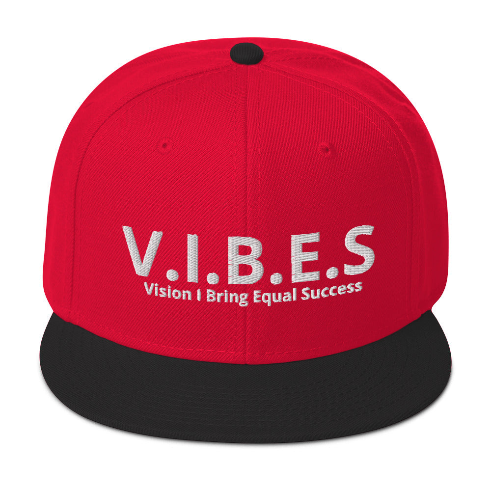 V.I.B.E.S aka Vision I Bring Equal Success  Snapback Hat