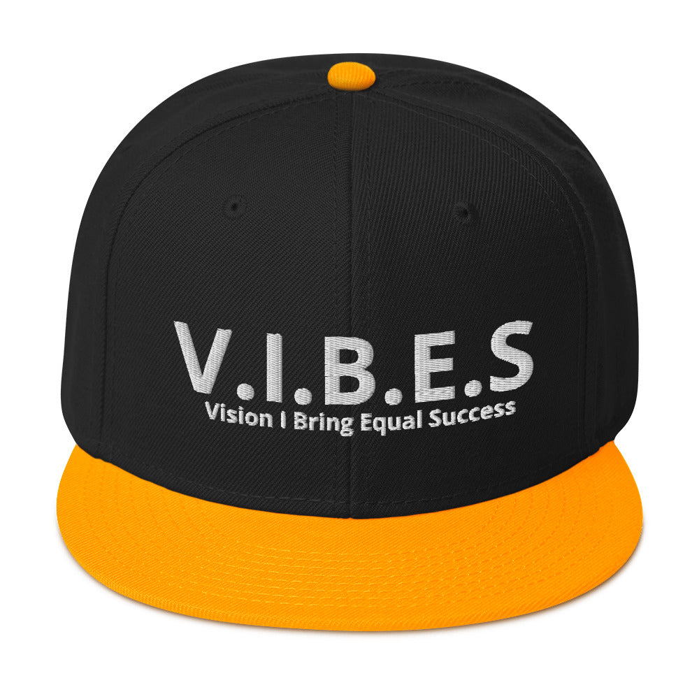 V.I.B.E.S aka Vision I Bring Equal Success  Snapback Hat