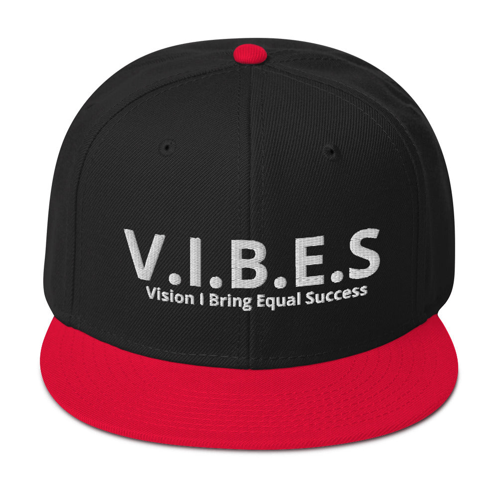 V.I.B.E.S aka Vision I Bring Equal Success  Snapback Hat